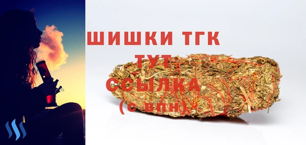 шишки Арсеньев