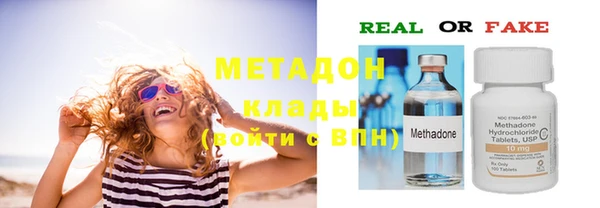 шишки Арсеньев