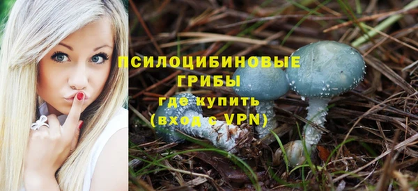 шишки Арсеньев