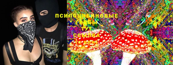 шишки Арсеньев