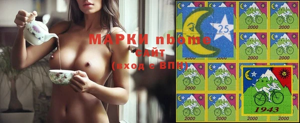 шишки Арсеньев