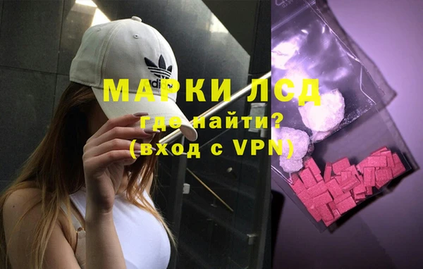 шишки Арсеньев